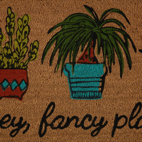 Design Imports Hey There Fancy Plants Doormat - 18" X 30"