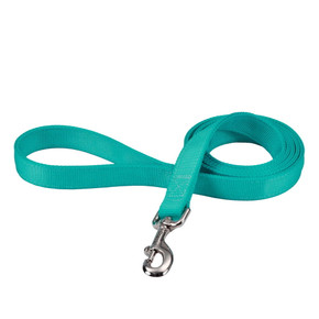 Coastal Pet Double-ply Teal Dog Leash - 1" X 4'