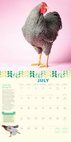 Workman Storey How To Speak Chicken Book