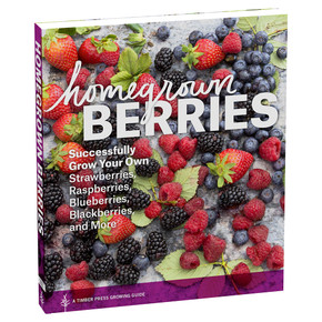 Workman Homegrown Berries Book