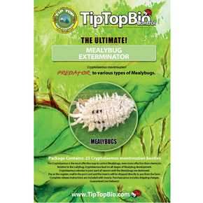 TipTopBio Control Mealybug Exterminator Certificate - 25 ct