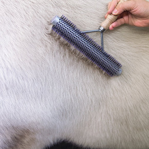 Weaver Livestock Regular Wide Range Brush - 8"
