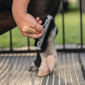 Weaver Livestock Wide Range Brush - Mini