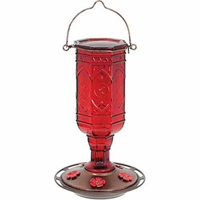 More Birds Red Jewel Hummingbird Feeder, Glass -20oz
