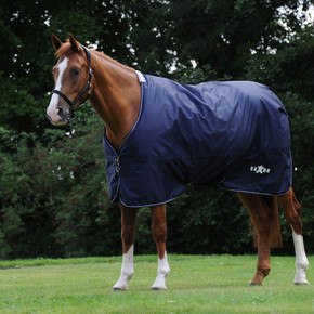Weatherbeeta Saxon Defiant 600D with Gusset Standard Neck Lite - Navy/White Weatherbeeta Saxon Defiant 600D with Gusset Standard Neck Lite - Navy/White