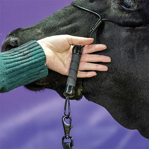 Sullivan Supply Hold Cable Halter for Cattle - Black