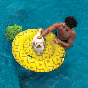 BigMouth Giant Pineapple Pool Float for Dog - 56"
