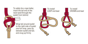 Weaver Leather Silvertip Reflective Rope Halter - Blue - Average