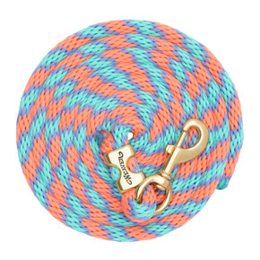Weaver Equine Poly Lead Rope with a Solid Brass 225 Snap - 10'