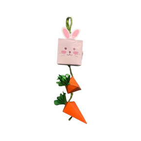 A & E Nibbles-Bunny/Carrot-Box-Toy