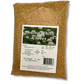 New Zealand White Clover Seed