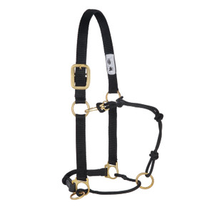 Weaver Equine Kalley Krickeberg Nylon Horseman's Halter - Black