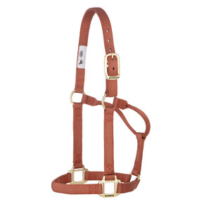 Weaver Leather Original Non-Adjustable Cinnamon Halter - 1"