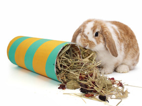 A&E Meadow Roller Small Animal Toy - 9" X 4" X 4"