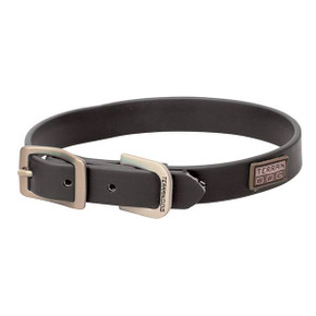 Terrain Dog X-Treme Adventure Dog Collar