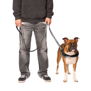 Canada Pooch Jacquard Leash