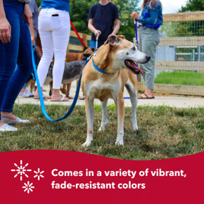 Coastal Pet Double-Ply Dog Leash