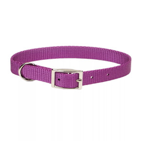 Coastal Pet Single-Ply Dog Collar