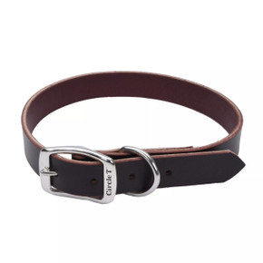 Coastal Pet Circle T Latigo Leather Town Dog Collar - Latigo