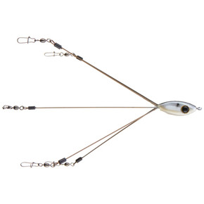 Picasso Junior School E Rig - Shad - 8"