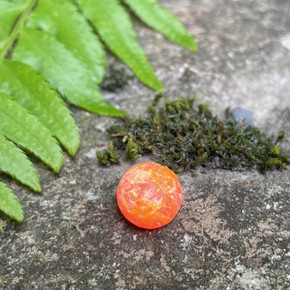 BNR Tackle Soft Bead - Clown - 10mm