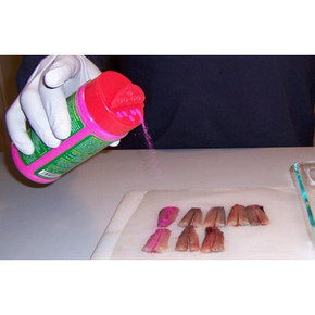 Pautzke Steelhead & Salmon Fire Cure - 16 oz - Pink