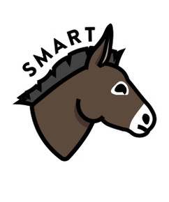 Smart Donkey Sticker