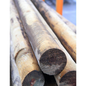 3-4"X7' Round Treated Post