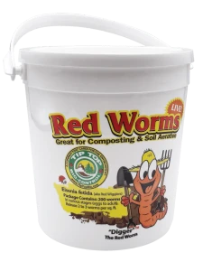 Red Worms in Pail 200ct