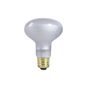 Zilla Day White Light Incandescent Spot Bulb for Reptiles