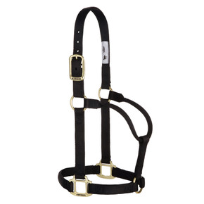 Weaver Equine Original Non-Adjustable Halter - Yearling