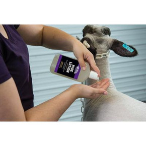 Weaver Livestock Show Day Hide Lotion - 14 fl oz