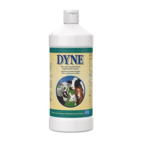Dyne High Calorie Liquid Nutritional Supplement for Livestock
