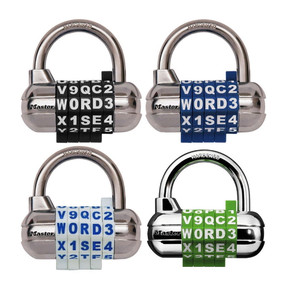 Master Password Plus Combination Lock