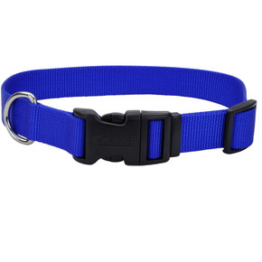 Coastal Pet Blue Adjustable Dog Collar With Plastic Buckle - 1" X 18"-26"