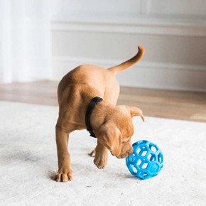 JW Pet Assorted Colors Hol-ee Roller Puppy Toy - Medium