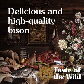 Taste of the Wild High Prairie Canine Recipe with Bison in Gravy Grain-free Wet Dog Food - 13.2 oz