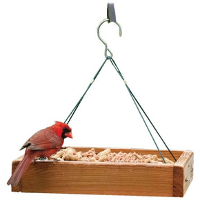 Audubon 3-in-1 Platform Feeder - 3 Lb