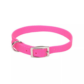 Coastal Pet Nylon Single-ply Dog Collar Coastal Pet Nylon Single-ply Dog Collar