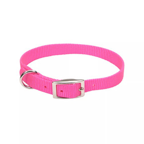 Coastal Pet Nylon Single-ply Dog Collar