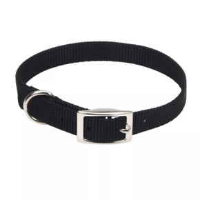 Coastal Pet Nylon Single-ply Dog Collar Coastal Pet Nylon Single-ply Dog Collar