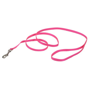 Coastal Pet Neon Pink Single-ply Nylon Leash - 3/8" X 6'