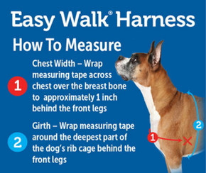 Petsafe Easy Walk No Pull Dog Harness - Medium/large - Black/silver