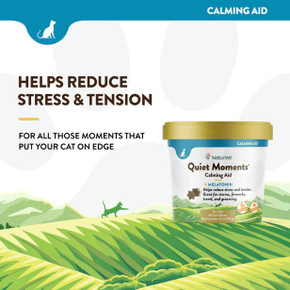 Naturvet Quiet Moments Plus Melatonin Cat Soft Chews - 60 ct Naturvet Quiet Moments Plus Melatonin Cat Soft Chews - 60 ct
