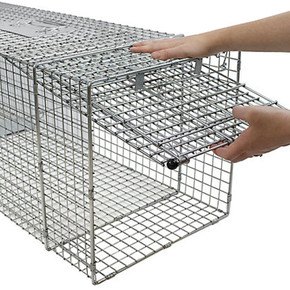 Havahart® 2-Door Live Animal Cage Trap for Squirrel, Chipmunk, Rat, and  Weasel - Runnings