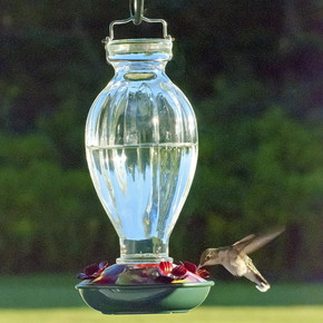 Audubon Fluted Glass Hummingbird Feeder - 20 Oz Audubon Fluted Glass Hummingbird Feeder - 20 Oz