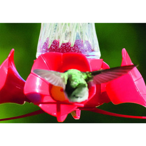 Audubon Clear Glass Swirl Optic Hummingbird Bird Feeder - 8 Oz