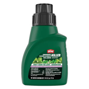 Ortho Chickweed, Clover & Oxalis Killer for Lawns Concentrate 16 fl oz