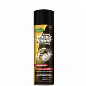 Green Thumb Foaming Wasp & Hornet Killer Spray - 17.5 Oz