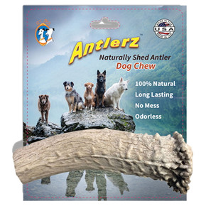 Qt Dog Original Antlerz Dog Chew - Medium